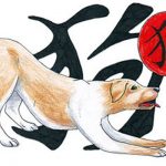 Куче – Китайски любовен хороскоп
