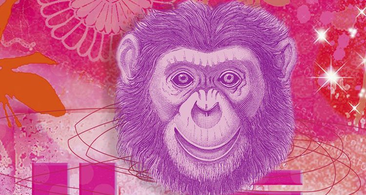 Маймуна – Китайски любовен хороскоп